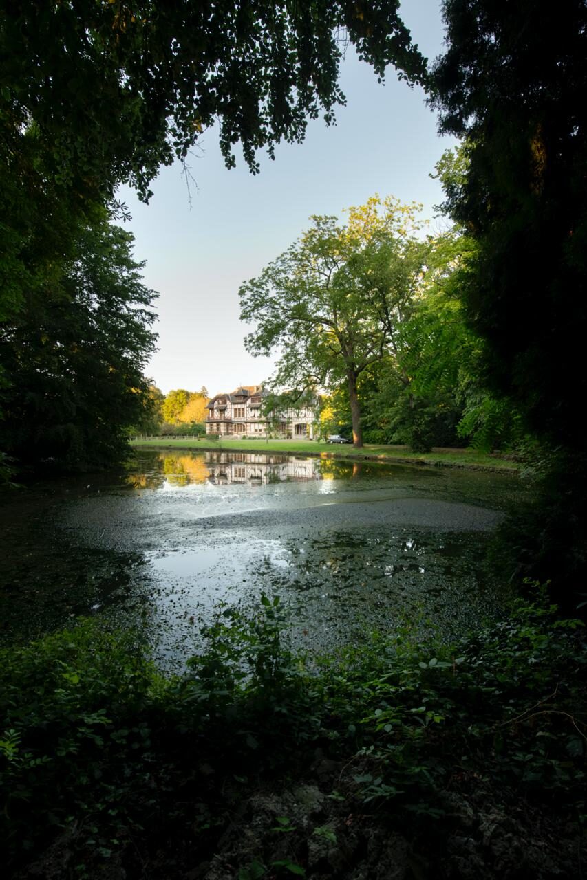 Domaine de la Nèle — the park, pond and old trees