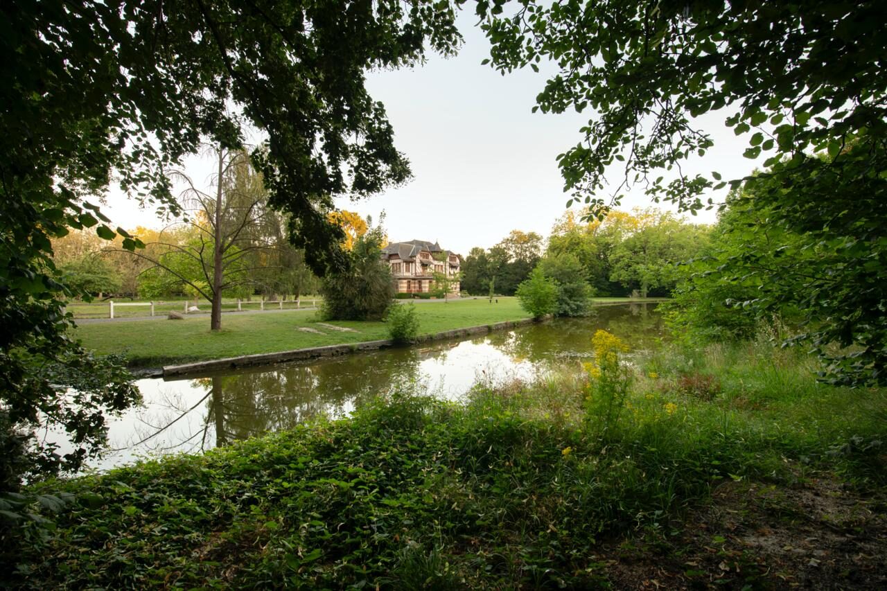 Domaine de la Nèle — the park, pond and old trees