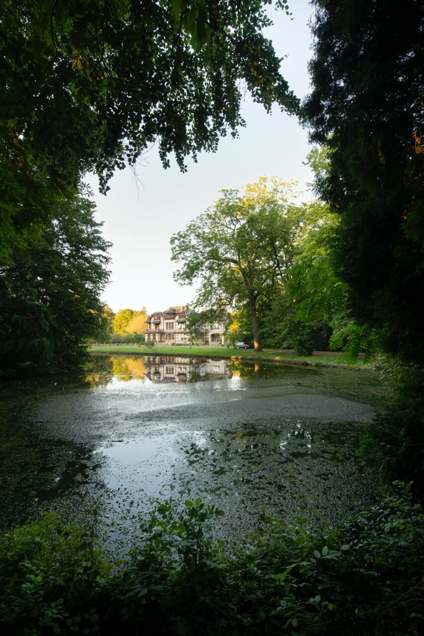 Domaine de la Nèle — the park, pond and old trees