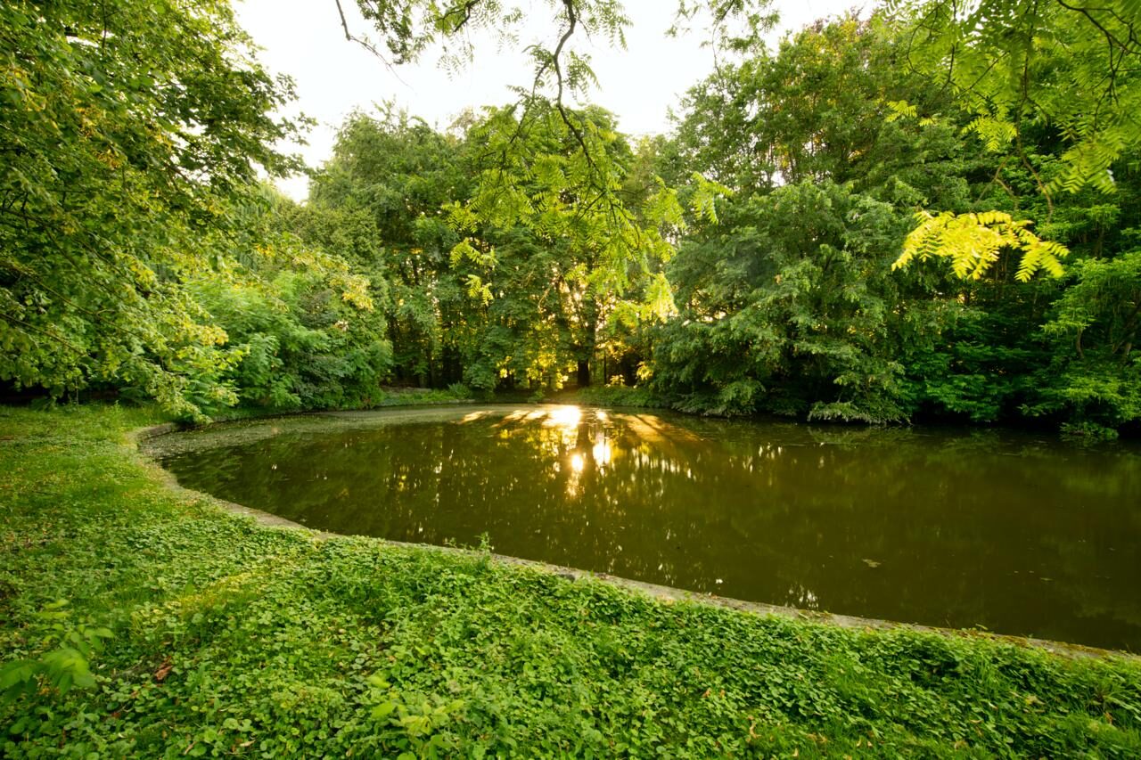 Domaine de la Nèle — the park, pond and old trees