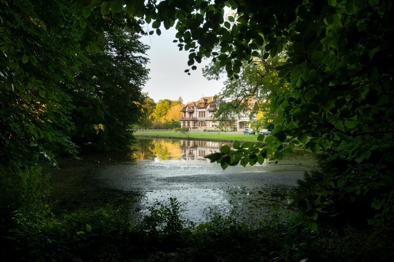 Domaine de la Nèle — the park, pond and old trees
