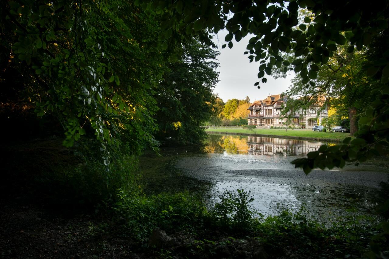 Domaine de la Nèle — the park, pond and old trees