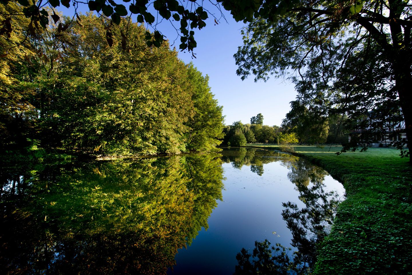 Domaine de la Nèle — trees mirrored in the still water of the estate pond