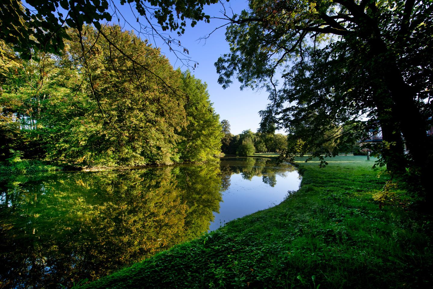 Domaine de la Nèle — the curving bank of the pond and its reflected trees