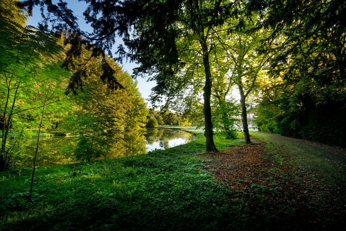 Domaine de la Nèle — a grassy path along the pond under tall trees